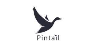 Pintail logo